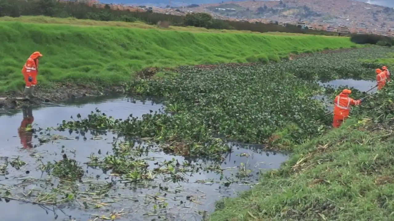 Bogotá intervino 11,7 kilómetros de ríos y canales con jornadas de aseo