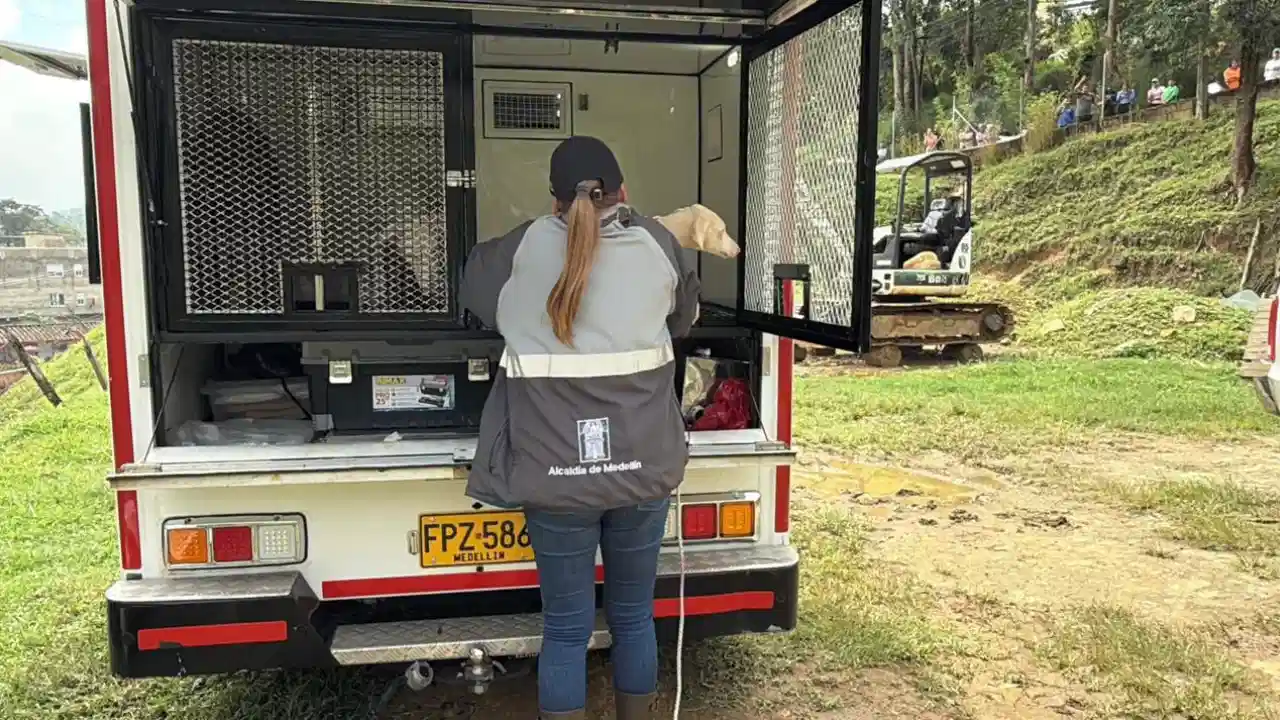 ¡Justicia para las cabras! Fico Gutiérrez anunció el rescate de los animales maltratados en Altavista