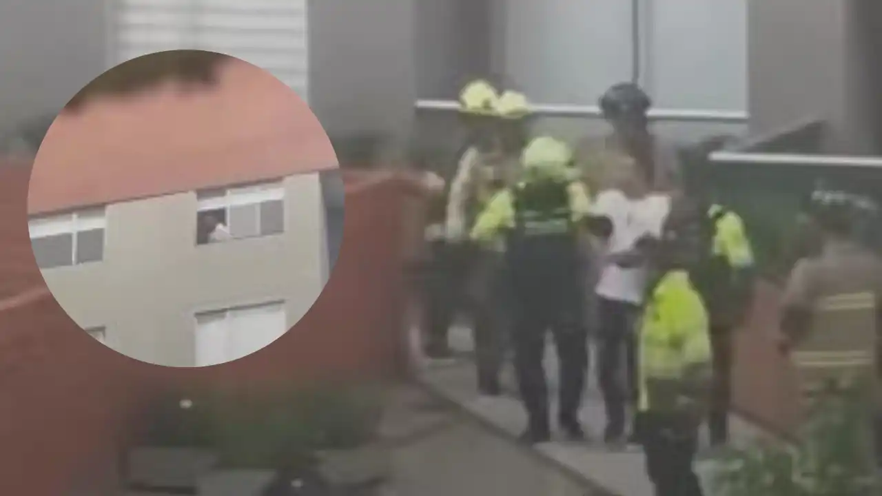 ¡Qué crueldad! Lanzan a un perrito desde el piso 25 de un edificio en Bogotá