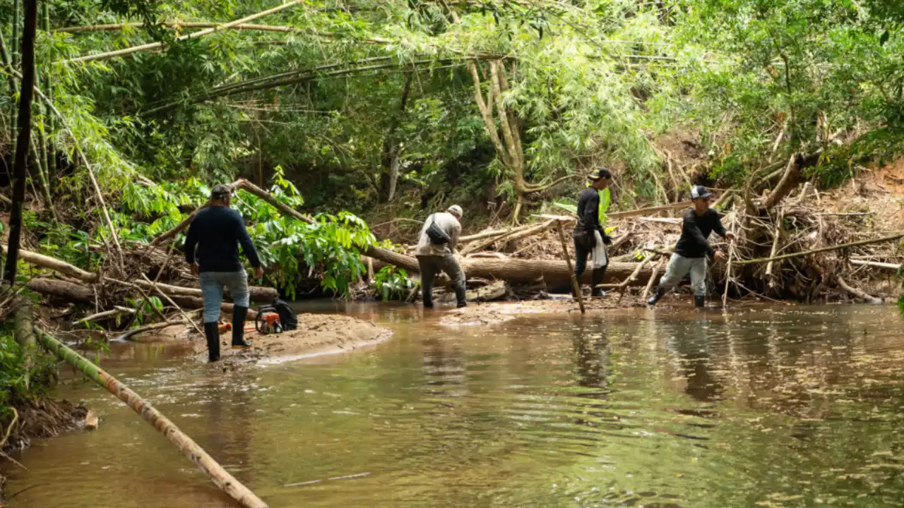 Cornare refuerza acciones ante lluvias: más de 159 mil metros de quebradas intervenidas