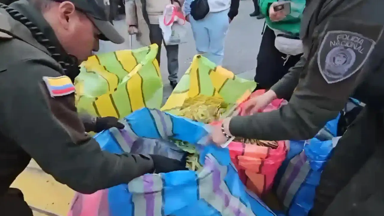 Incautan más de 140 kilos de palma en Bogotá destinados para el Domingo de Ramos