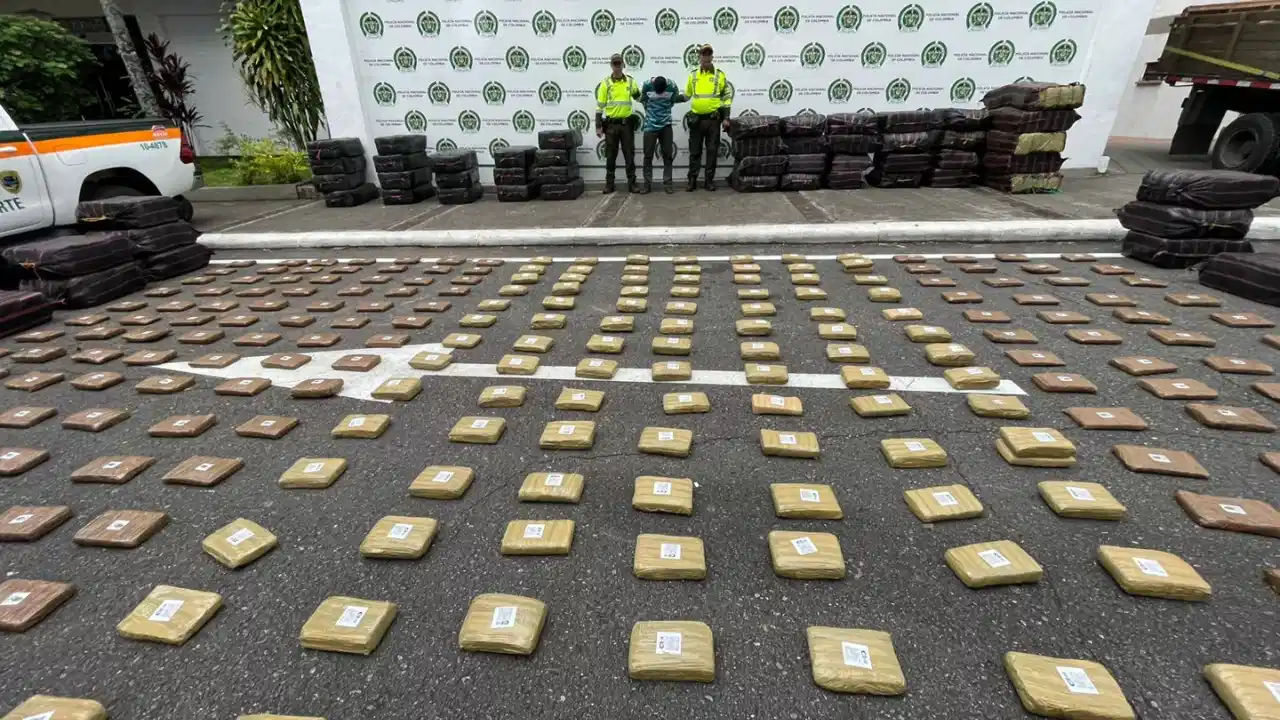 Así escondían 1,9 toneladas de marihuana: las camuflaron como carga de madera