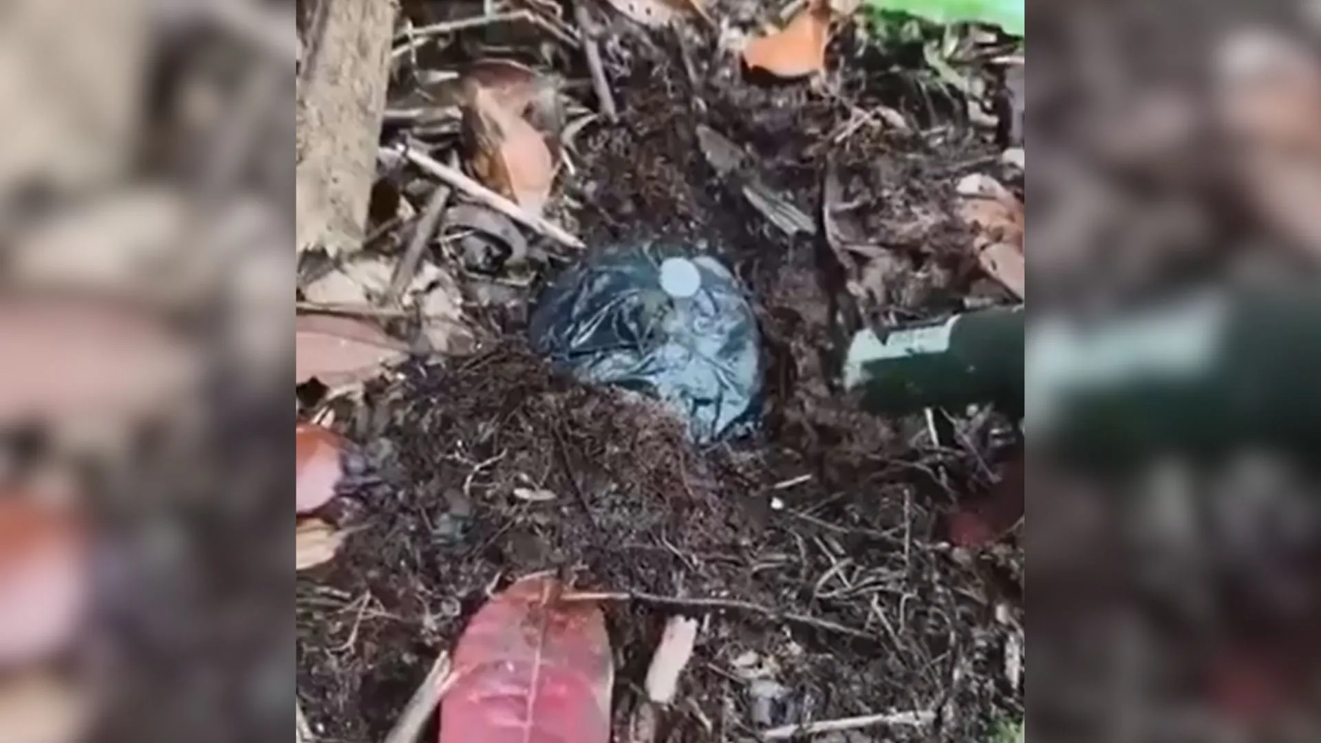 ¡A centímetros de una tragedia! Ejército desactiva explosivos cerca de camino veredal en Anorí