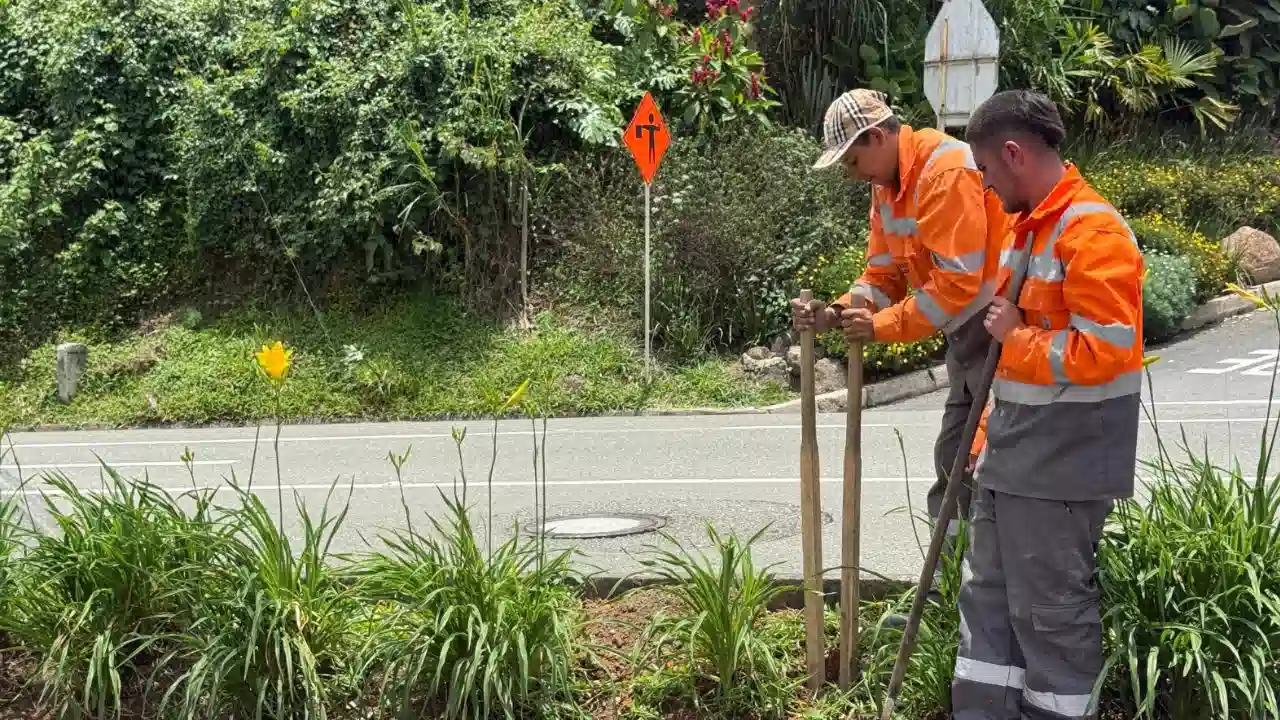 ¡Cuidado en Las Palmas! El hundimiento obliga a cierres y nuevas medidas en la carretera
