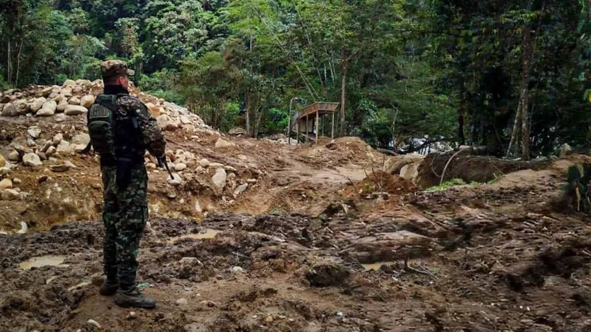 ¡Tragedia ambiental en San Luis! Mina ilegal del Clan del Golfo arrasó 7.000 árboles y tardará 30 años en sanar