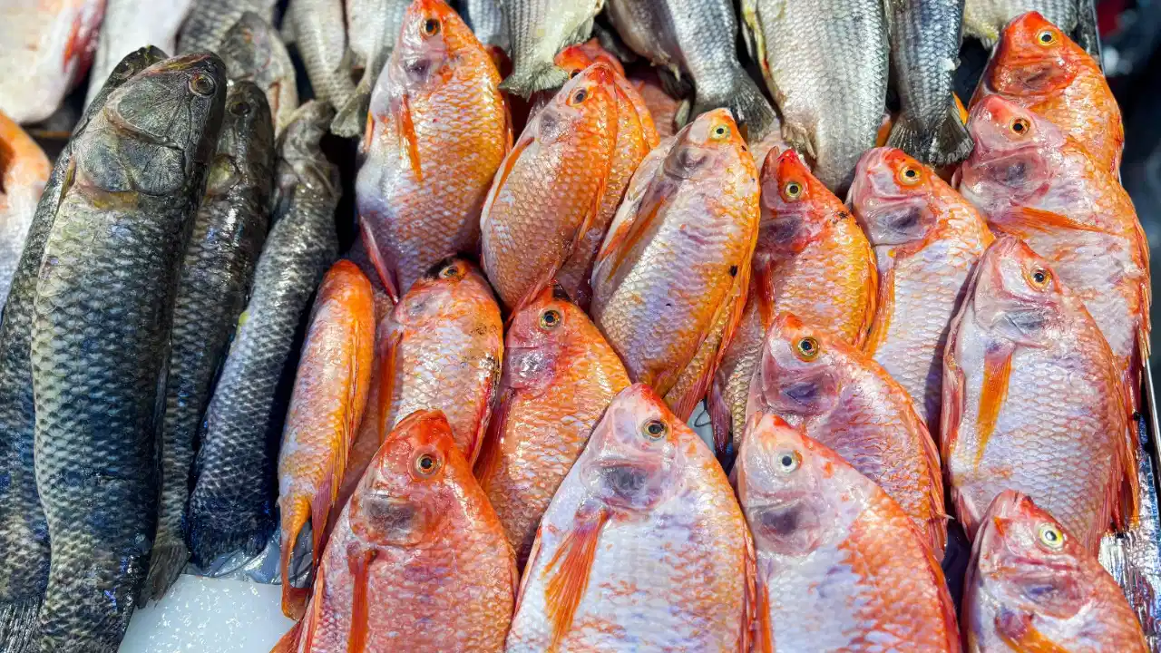 ¡Alerta en Semana Santa! Medellín advierte riesgos por consumo de pescado en mal estado