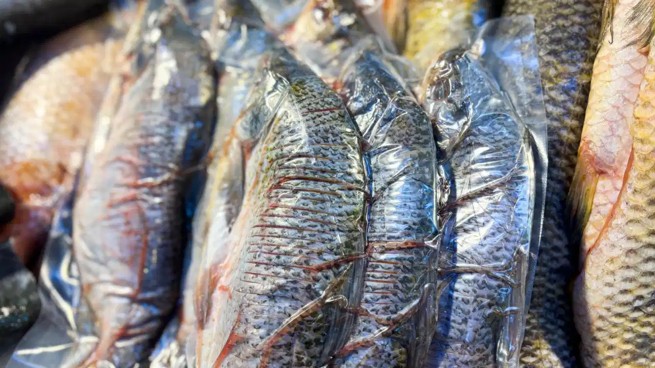 ¡Alerta en Semana Santa! Medellín advierte riesgos por consumo de pescado en mal estado
