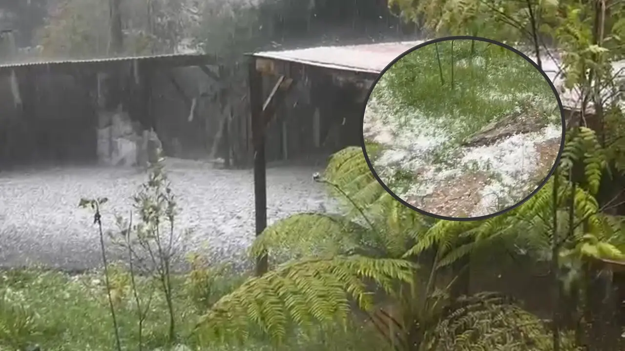 ¡Santa Elena se vistió de blanco! En video quedó la fuerte granizada sorprendió al corregimiento «de los silleteros»