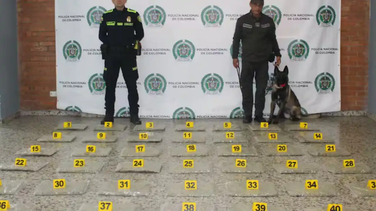 ¡Iba por encomienda! Caen más de 20 kilos de marihuana en El Dorado con ayuda de canina