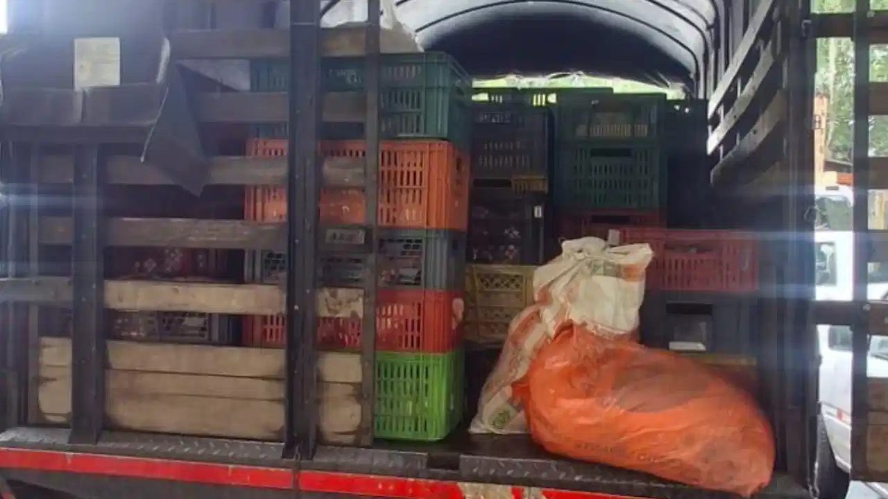 Halladas toneladas de carne irregular: operativo en Medellín revela riesgos para la salud