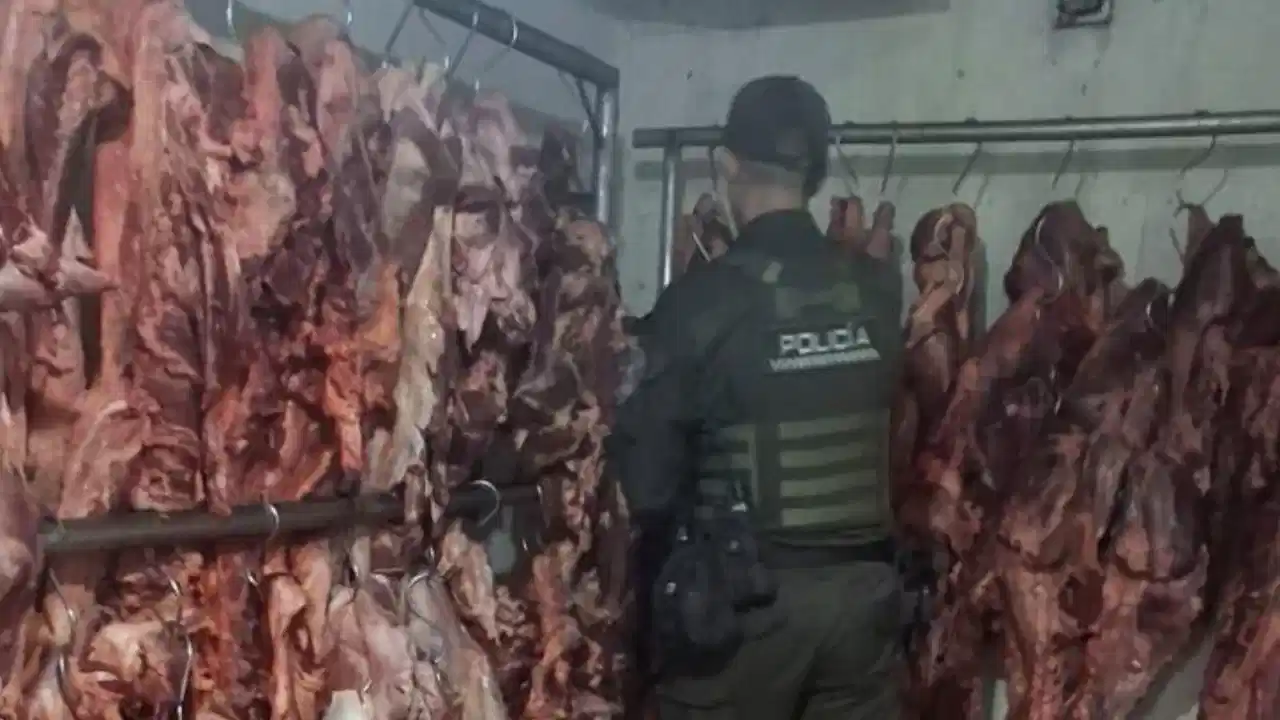 Halladas toneladas de carne irregular: operativo en Medellín revela riesgos para la salud