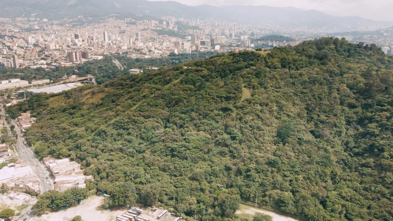Semana del Clima: Medellín será sede de un evento global sobre cambio climático
