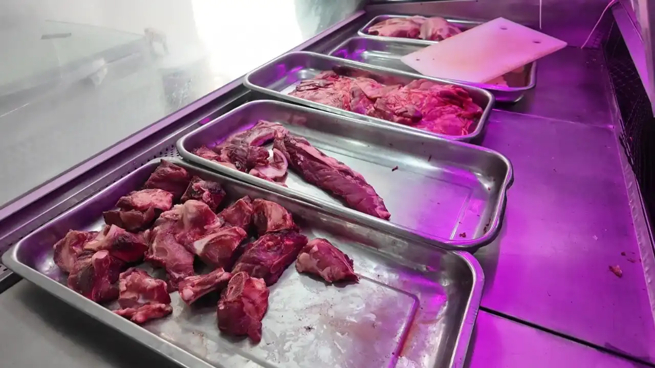 ¡Iban a vender eso! Decomisan carne en mal estado y sellan local en Bello