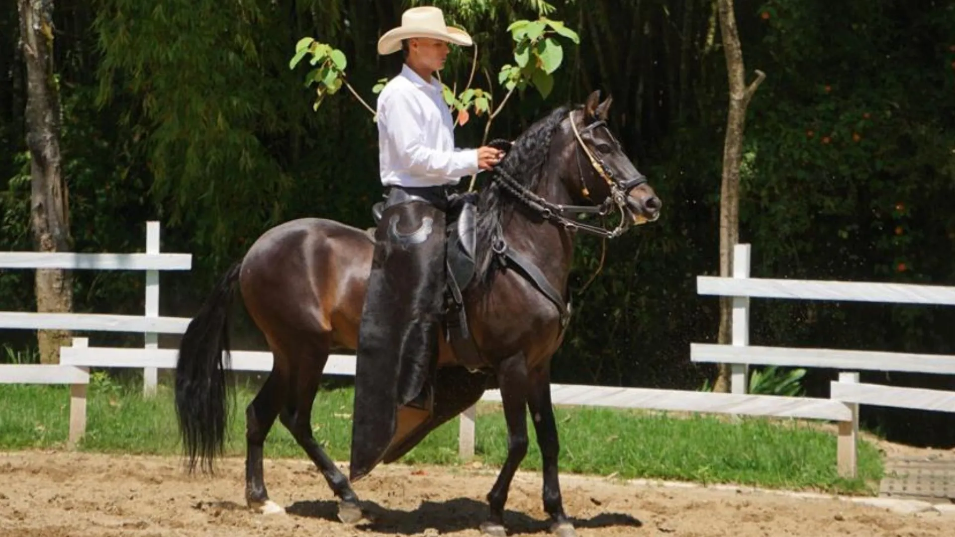¡El Retiro le apuesta a su tradición! Inauguran nuevo espacio para entrenamiento de caballos