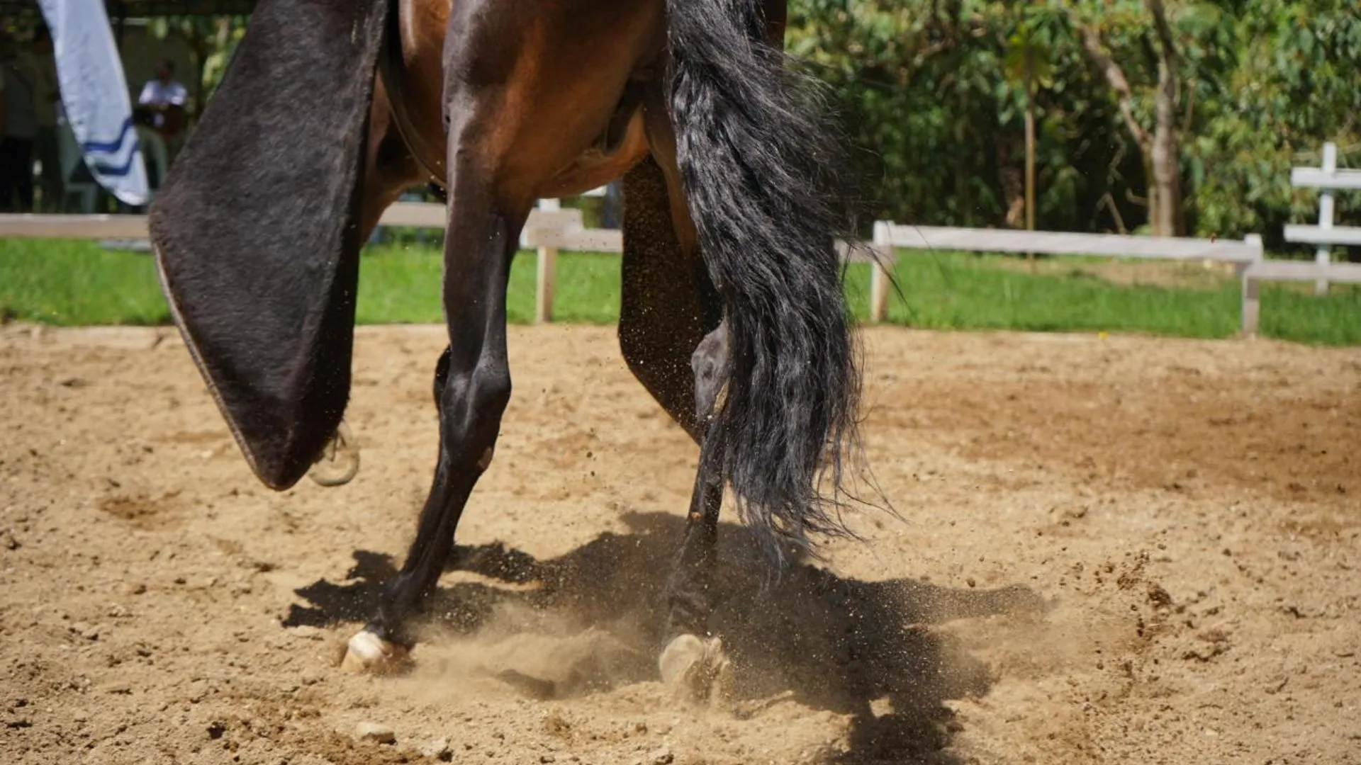 ¡El Retiro le apuesta a su tradición! Inauguran nuevo espacio para entrenamiento de caballos 5 ¡El Retiro le apuesta a su tradición! Inauguran nuevo espacio para entrenamiento de caballos