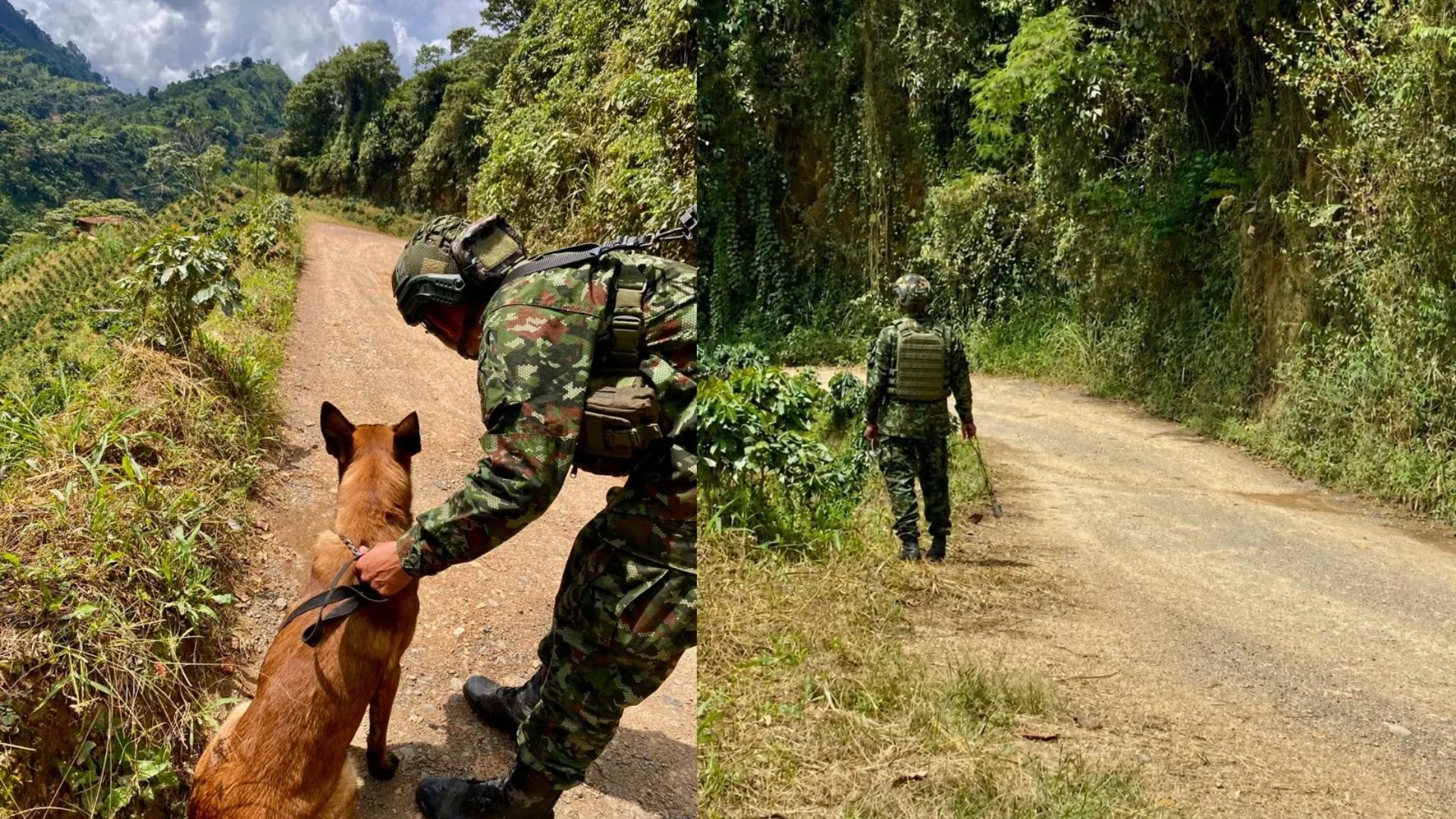 Ejército destruye explosivo que estaba listo para ser activado en zona rural de Andes