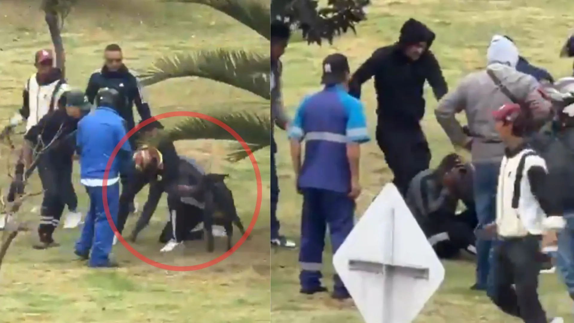 ¡Hasta el perro lo mordió! Comunidad en Bogotá linchó a presunto ladrón y le incendió la motocicleta