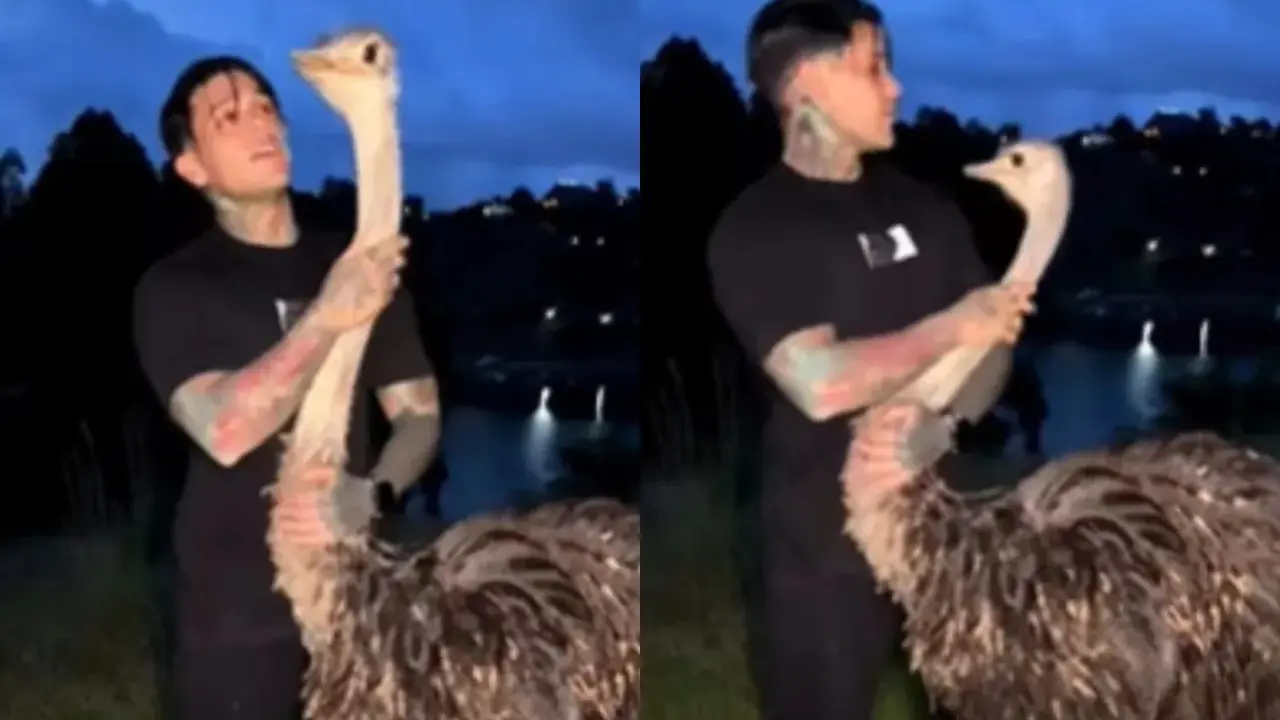 ¿Quiere montar un zoológico?: le caen a Yeferson Cossio por comprar un avestruz