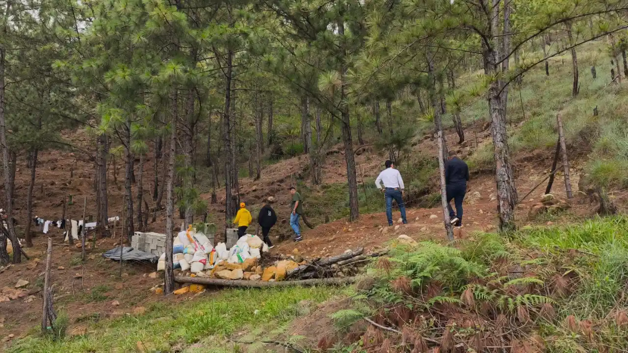 ¡Pusieron la lupa! Hallaron más de 500 construcciones ilegales en el Cerro Quitasol 3 ¡Pusieron la lupa! Hallaron más de 500 construcciones ilegales en el Cerro Quitasol