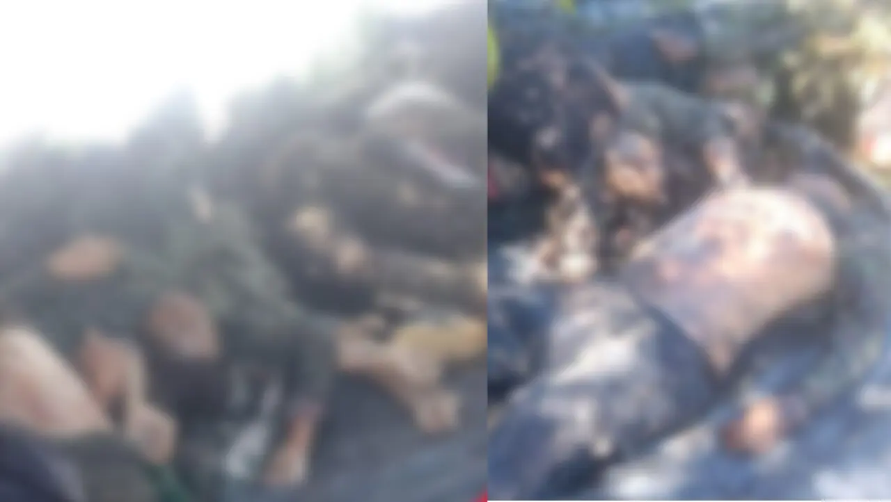¡Abandono estatal! «La población civil convivió dos días con la muerte»: defensora del pueblo sobre cruentos enfrentamientos en Guaviare 2 Cruentas imágenes revelan la magnitud de la masacre ocurrida entre las disidencias el pasado 26 de mayo en Guaviare