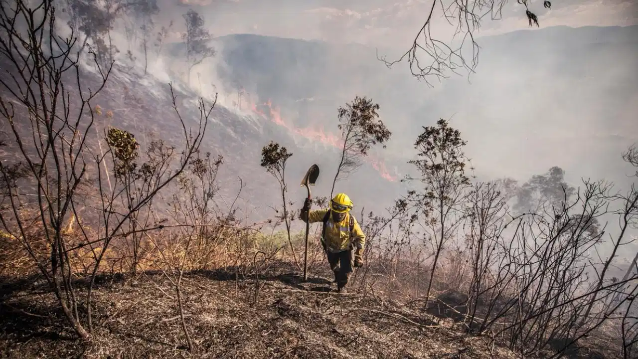 Preparan plan para combatir riesgo de incendio tras disminución de precipitaciones en Medellín