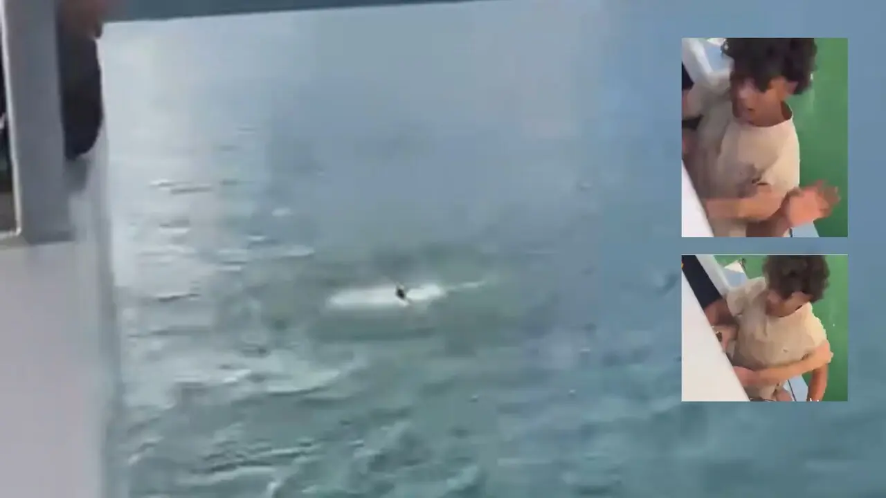 «No sabe nadar» Video revela cómo cayó el turista al embalse de Guatapé 2 joven cayó al embalse de guatapé tratando de evitar la golpiza que le estaban dando
