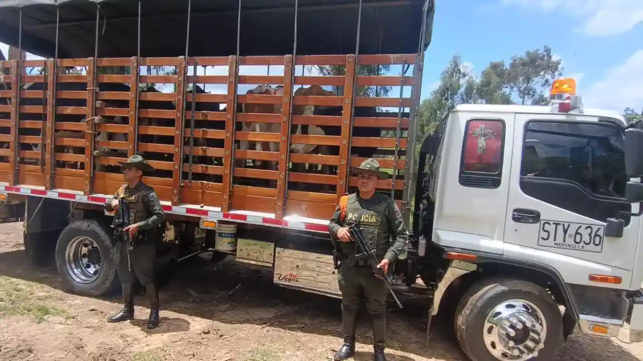 Policía desmantela foco de minería ilegal en Fredonia: más de 20 capturados 3 Policía desmantela foco de minería ilegal en Fredonia: más de 20 capturados