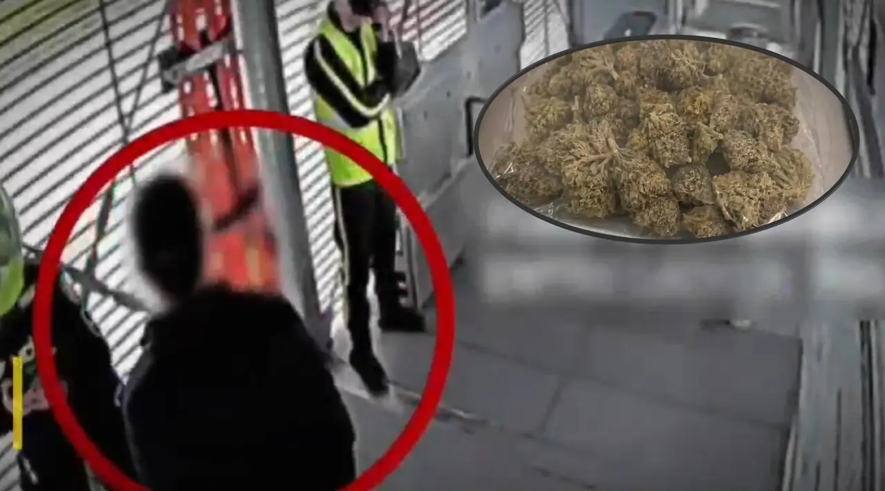 incautan marihuana en transmilenio a un hombre que los expendía en los articulados