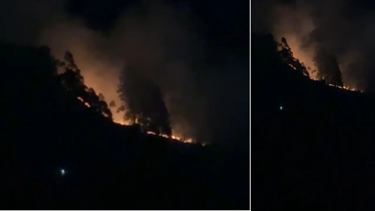 Fuerte incendio forestal consume la montaña entre Nueva Jerusalén y la vía a San Félix 1 voraz incendio forestal