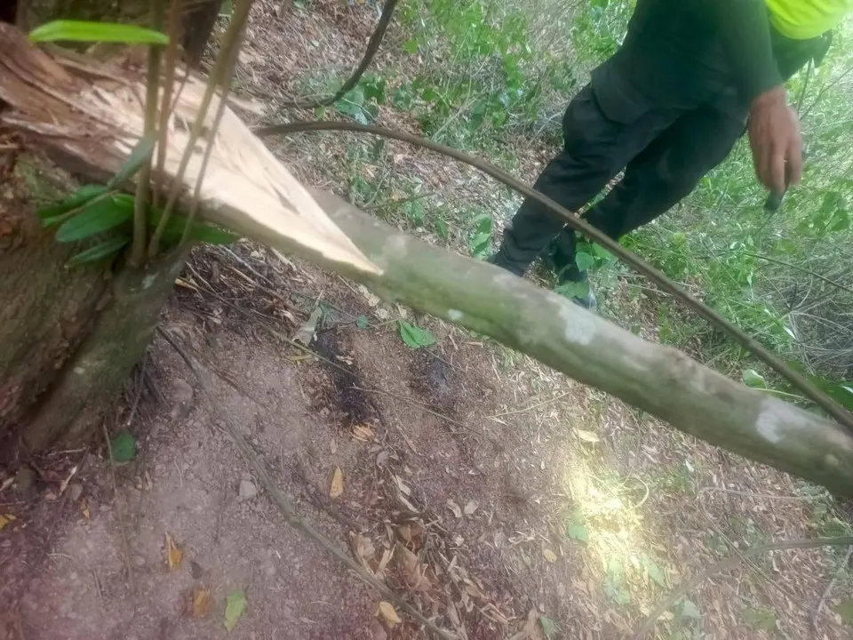Así se ve el sitio en el que hallaron a Yulixa: aun hay rastros de su cuerpo en el lugar 2