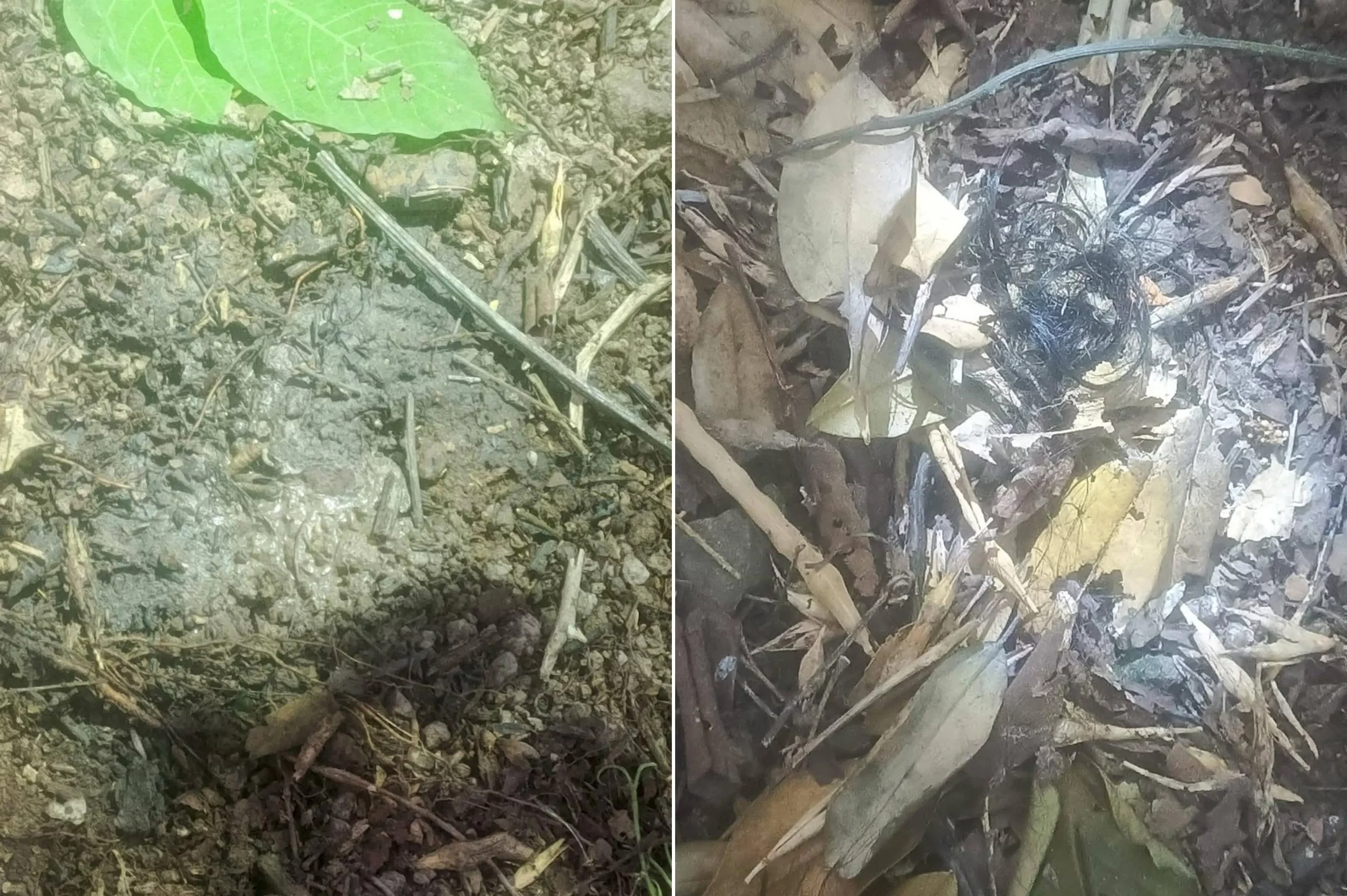 Así se ve el sitio en el que hallaron a Yulixa: aun hay rastros de su cuerpo en el lugar 3 yulixa3 scaled
