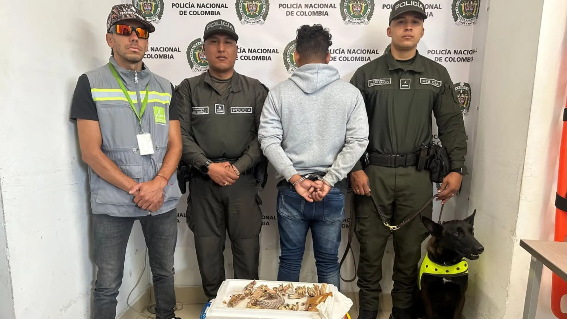 ¡Iban para el consumo humano! Capturan a hombre que transportaba 15 partes de iguana en Medellín