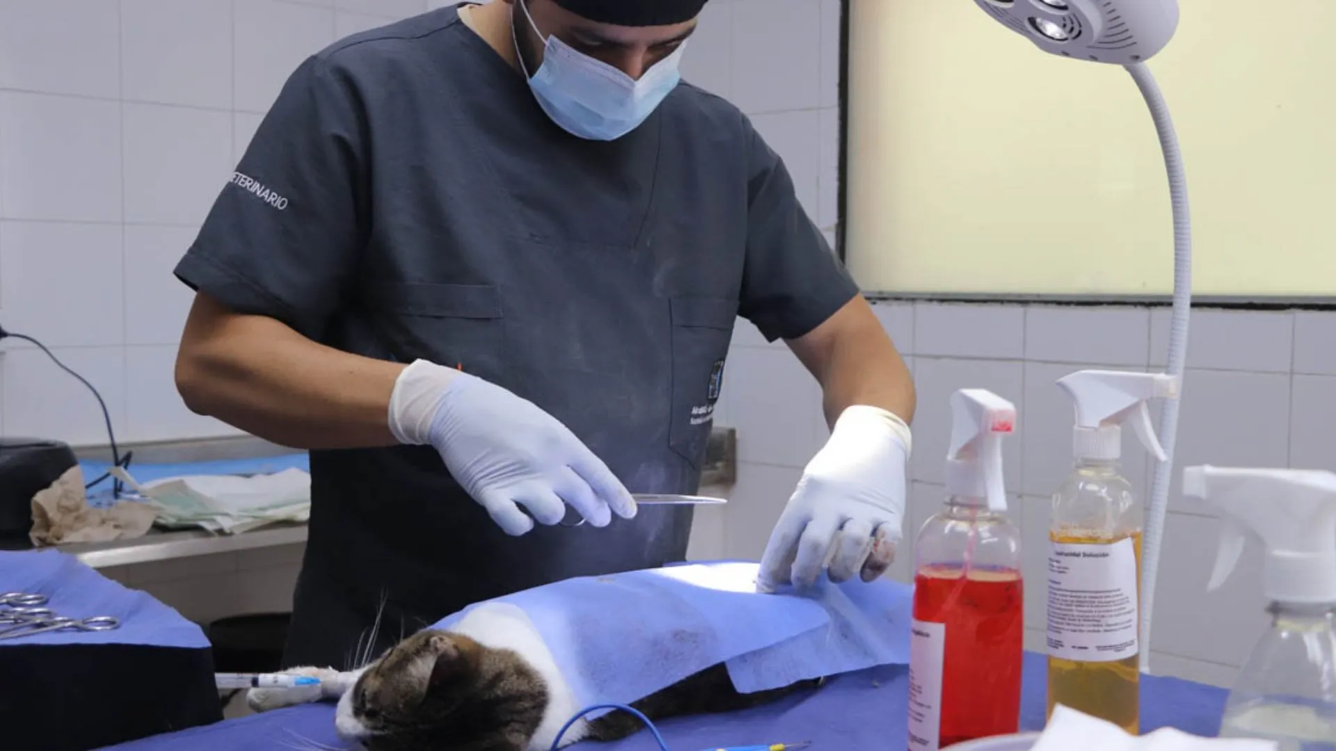 ¡Atención Medellín! Arrancan las jornadas gratuita