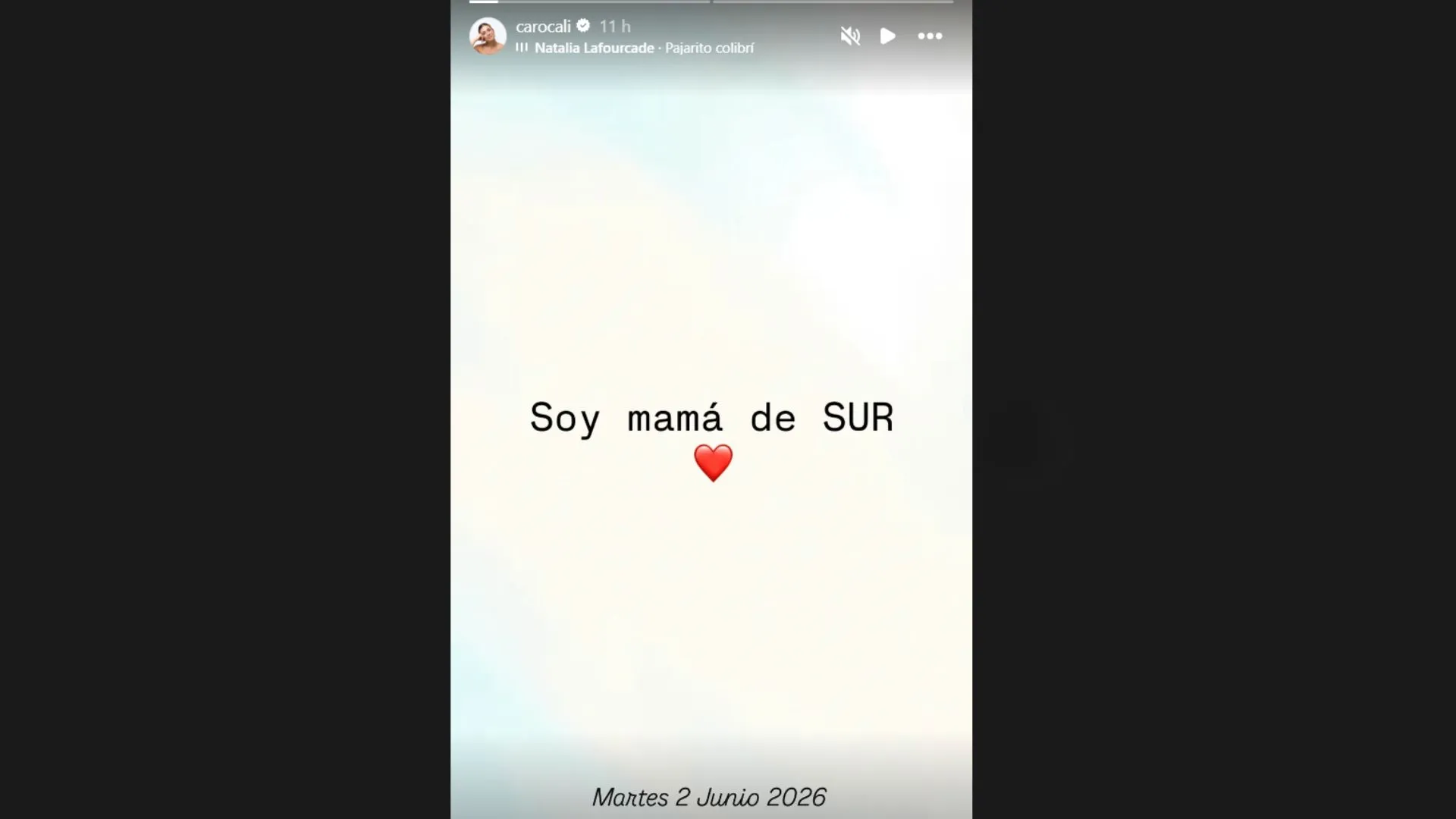 Carolina Ramírez, actriz de 'La reina del Flow', anunció el nacimiento de su primer hijo: "Soy mamá de Sur" 2 Carolina Ramírez, actriz de 'La reina del Flow', anunció el nacimiento de su primer hijo: "Soy mamá de Sur"