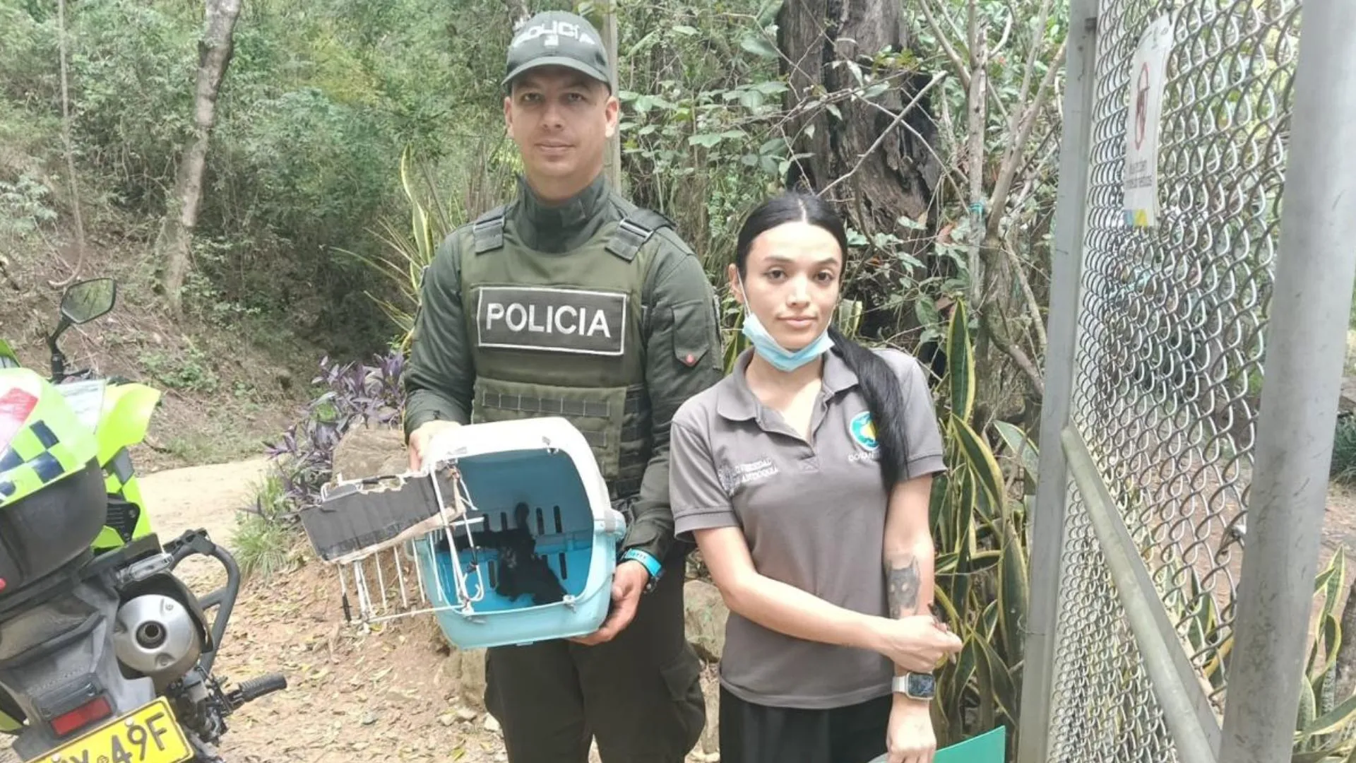 ¡Golpe al tráfico de fauna! Incautan 15 cerdos y un ave silvestre durante operativos ambientales en Antioquia 2 ¡Golpe al tráfico de fauna! Incautan 15 cerdos y un ave silvestre durante operativos ambientales en Antioquia