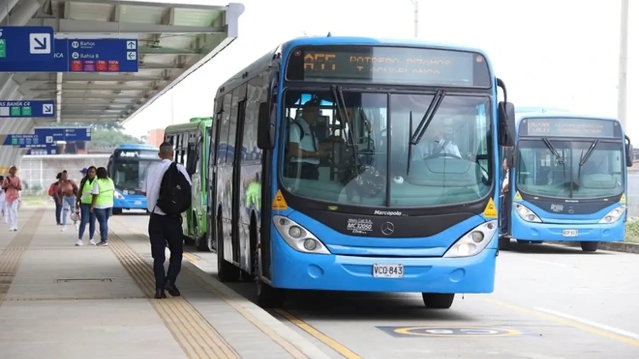 buses del mio
