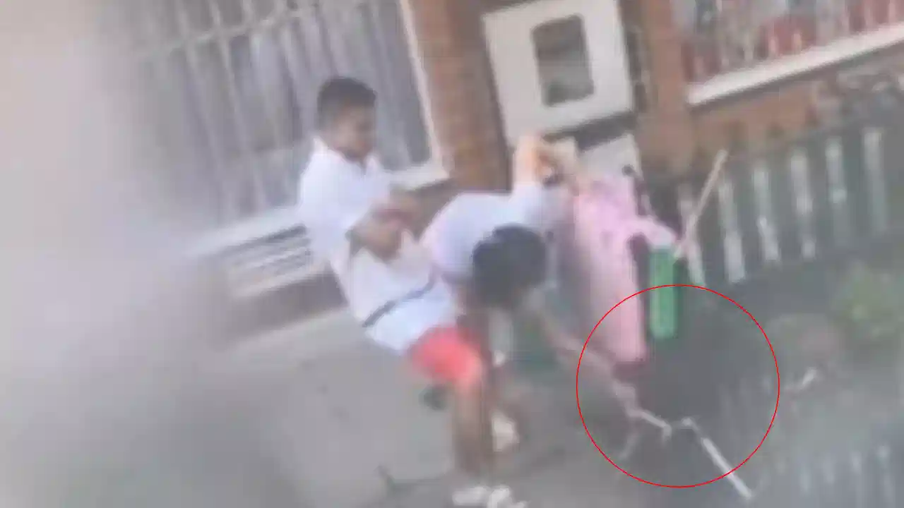 Indignación en Bogotá: captan a hombre pateando a una perrita amarrada