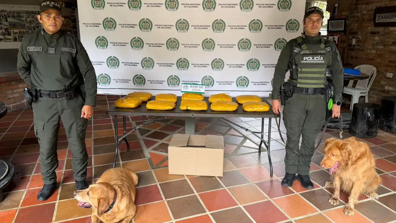¡Ni entre las cobijas pudieron esconderla! Caninos detectan 20 kilos de cocaína en una encomienda hacia Medellín