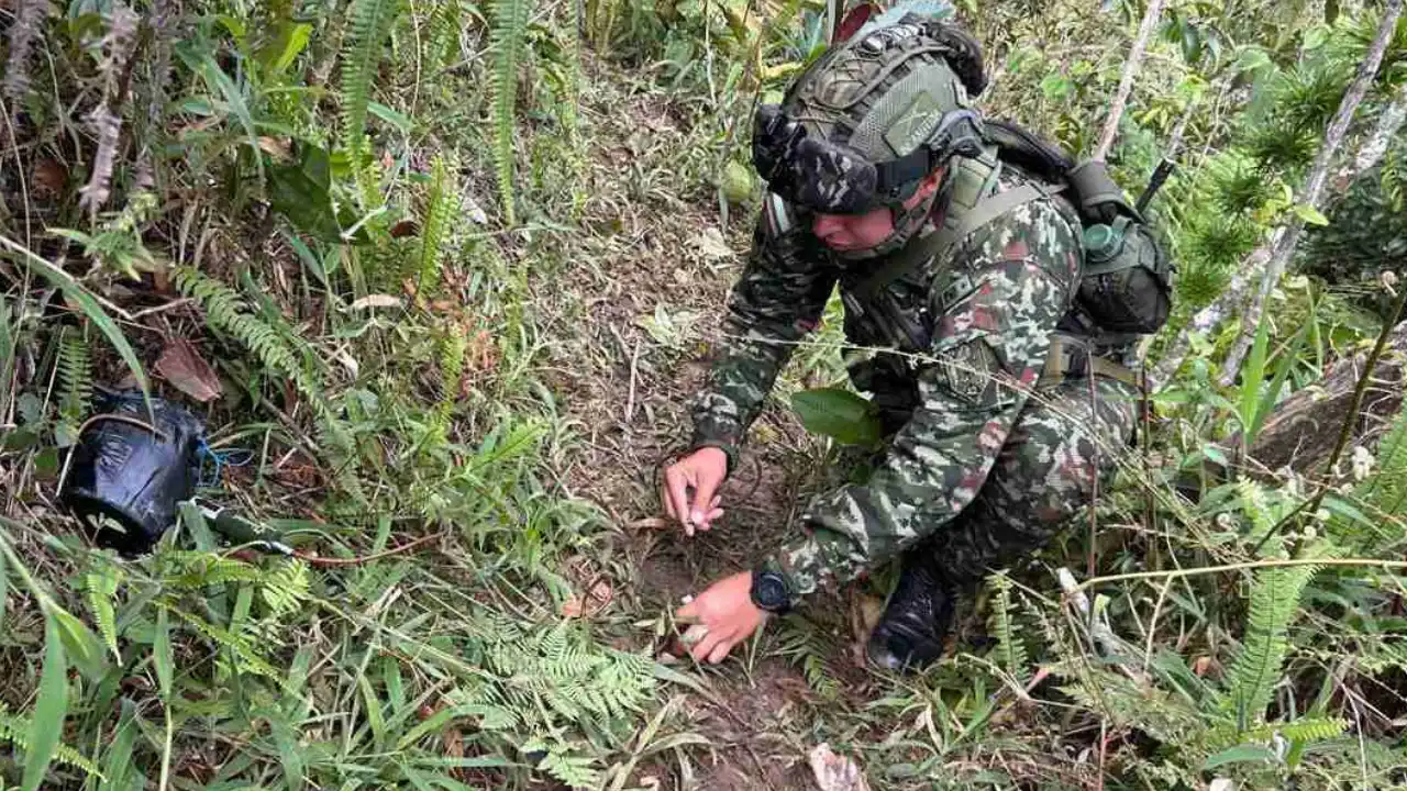 Evitan tragedia en Anorí: hallan explosivos en camino usado por campesinos