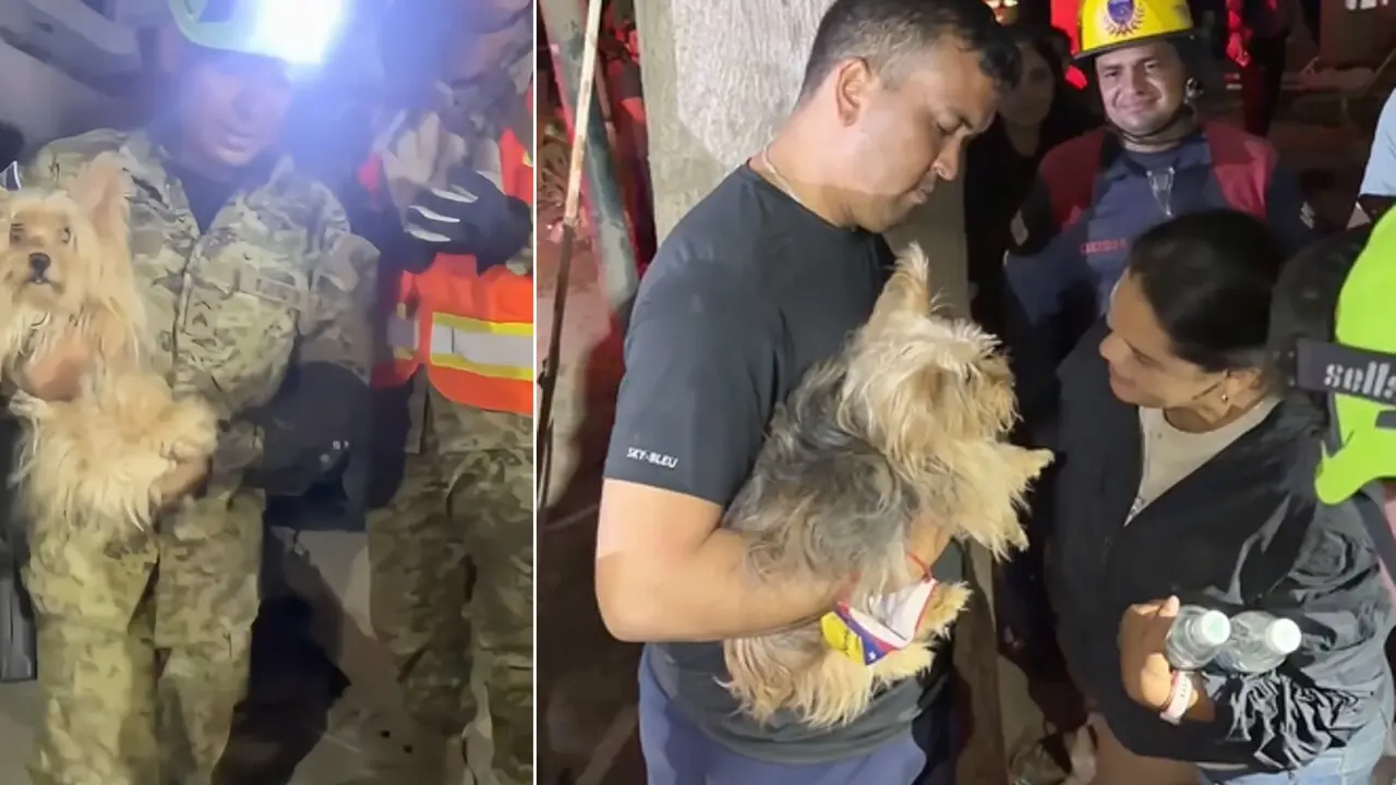 Chanel, la perrita de Camila Sofía fue rescaada poco antes d de la media noche de este 26 de junio