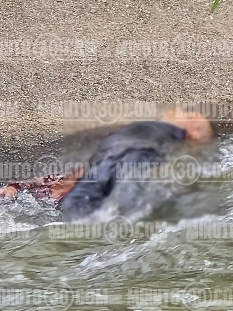 ¡Vestía de negro! Hallan un hombre muerto en el río Medellín a la altura del puente Guayaquil 3 muerto en el rio1