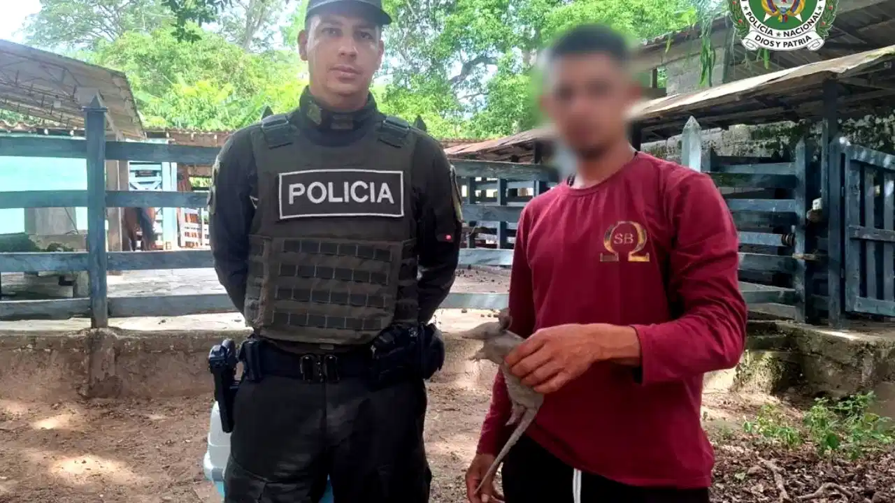 Incautan maquinaria y rescatan fauna silvestre en operativos ambientales en Antioquia 5 Incautan maquinaria y rescatan fauna silvestre en operativos ambientales en Antioquia