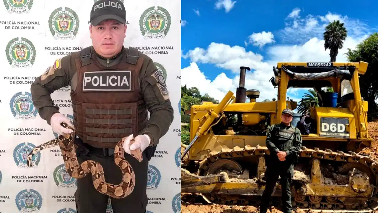 Incautan maquinaria y rescatan fauna silvestre en operativos ambientales en Antioquia 2 Incautan maquinaria y rescatan fauna silvestre en operativos ambientales en Antioquia