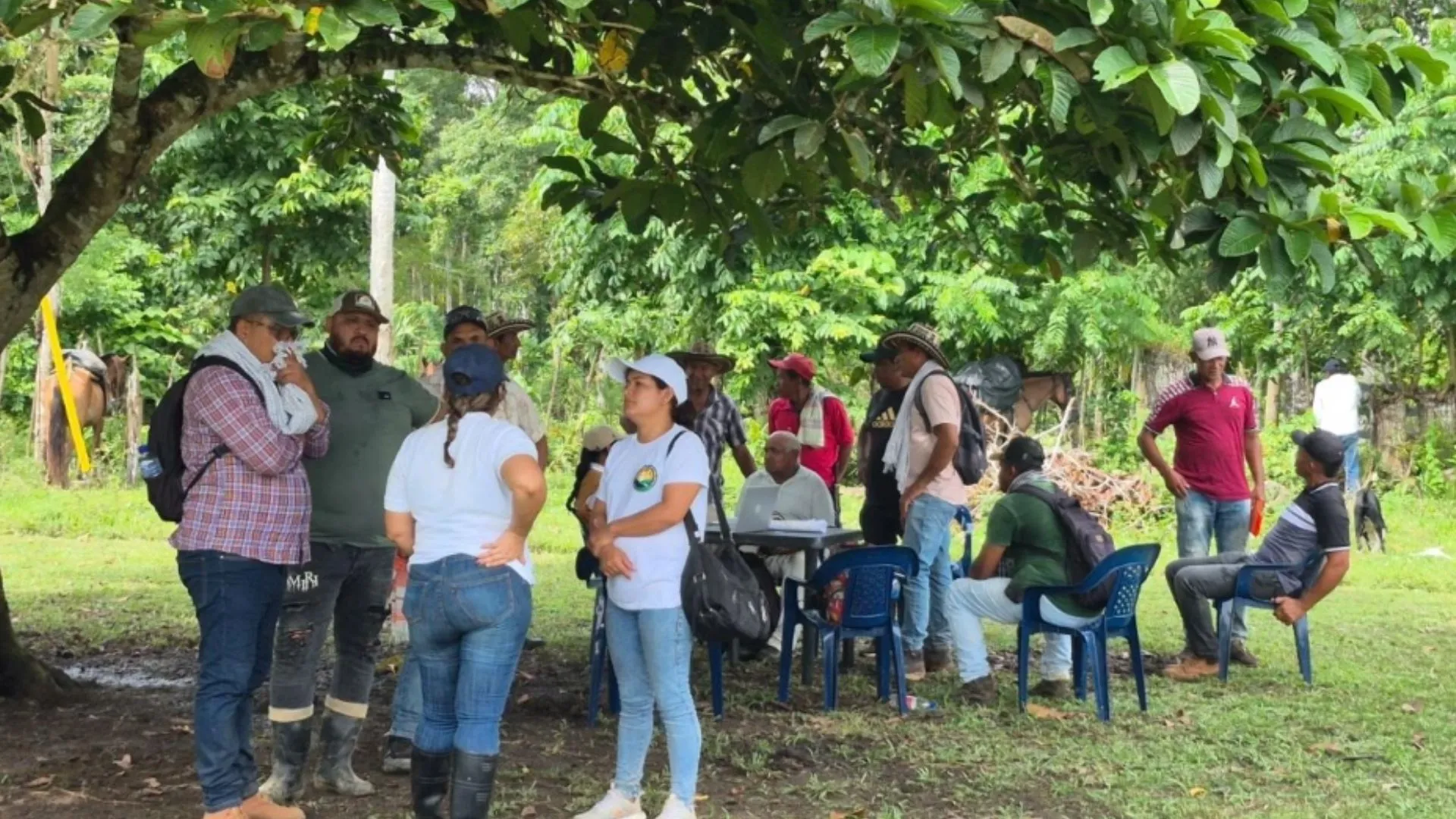 ¡Después de 30 años! Doce familias campesinas recuperan las tierras que les arrebató la violencia en Urabá