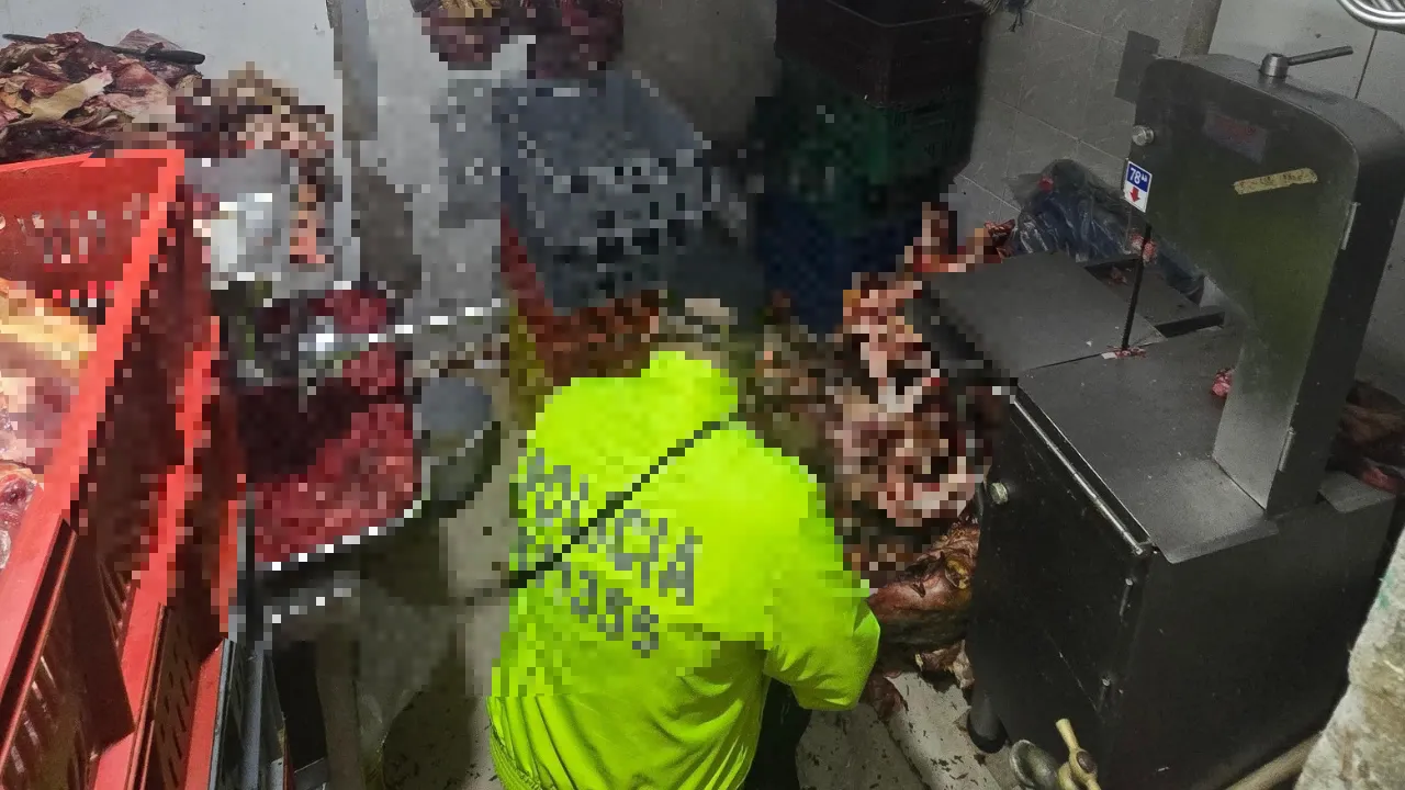 ¡Iba a terminar en su mesa! Incautan casi tres toneladas de carne en mal estado en Medellín 1 ¡Iba a terminar en su mesa! Incautan casi tres toneladas de carne en mal estado en Medellín