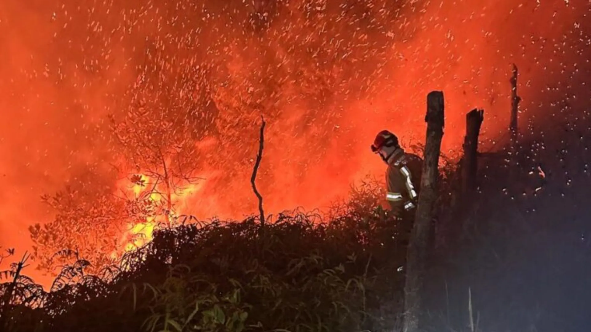 ¡Intensa madrugada para los bomberos! Voraz incendio forestal se registró entre Guarne y Copacabana 3 ¡Intensa madrugada para los bomberos! Voraz incendio forestal se registró entre Guarne y Copacabana