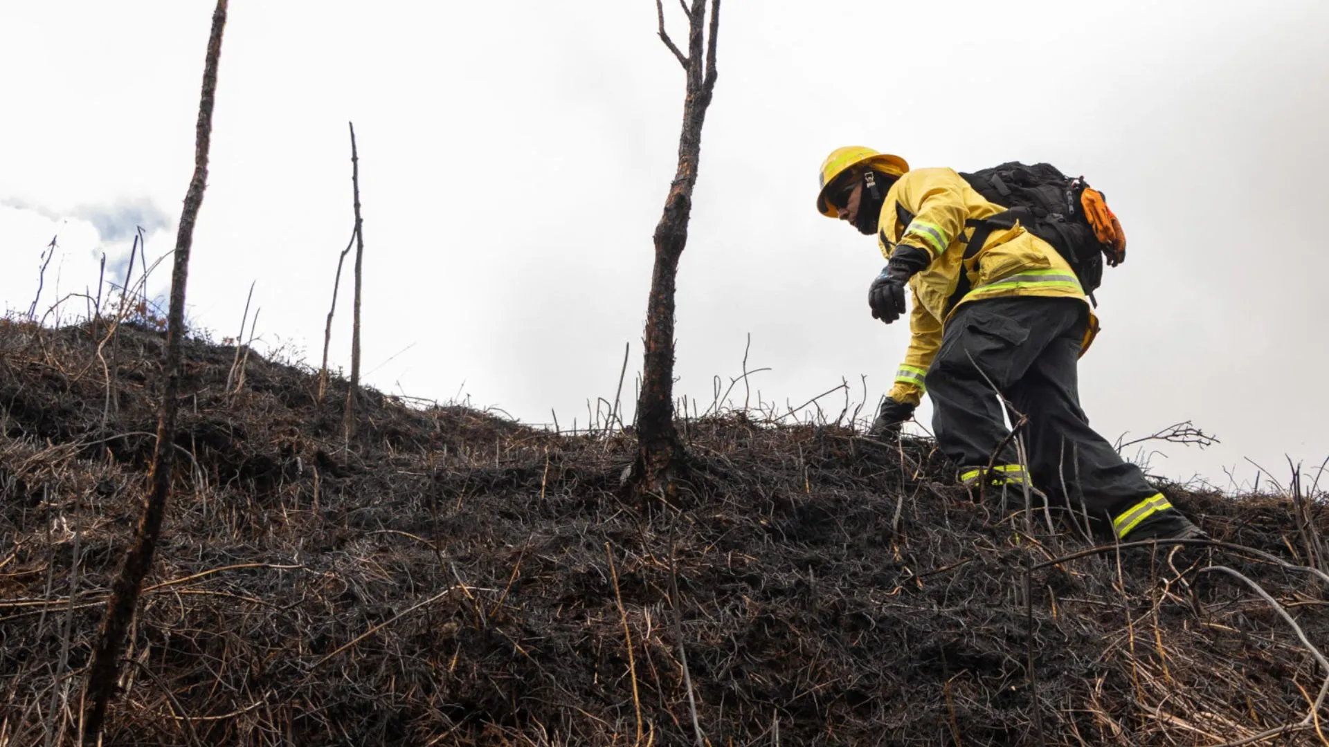 ¡Antioquia en máxima alerta! Se han registrado 23 incendios forestales en menos de tres semanas