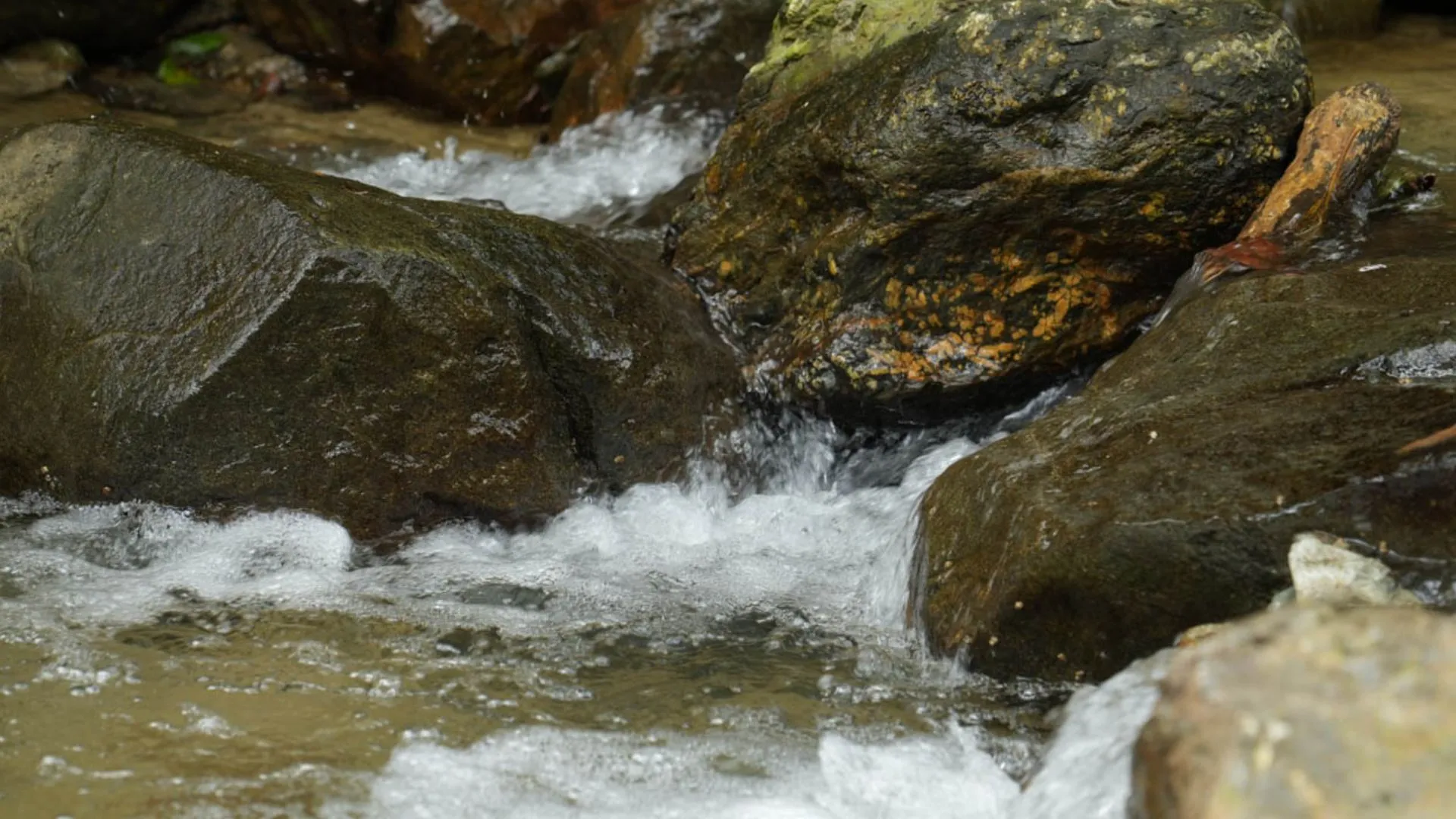 Medellín blinda su abastecimiento de agua: invertirán $5.000 millones para proteger cuencas estratégicas