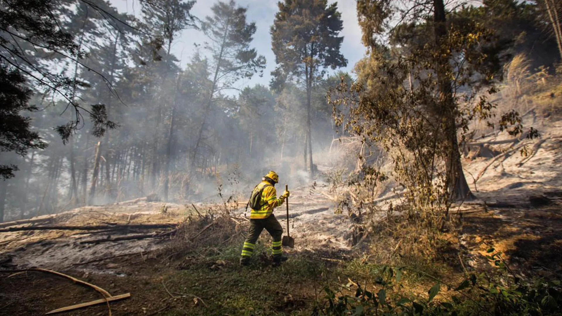 Medellín activa plan especial para proteger sus bosques ante el aumento del riesgo de incendios