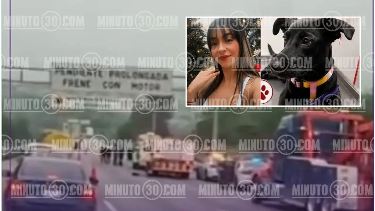Mónica viajaba con su perrita Lulú, luego de visitar a una amiga e iba con destino a su hogar en Ciudad de México